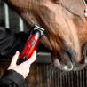Esquiladora LIVERYMAN CLASSiC Retoques
