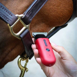 Esquiladora Liveryman Trimmer Retoques