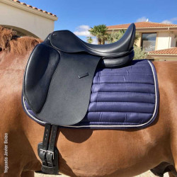 Silla Doma Omega Line Puente Intercambiable