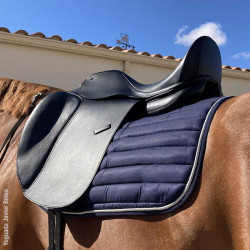 Silla Doma Omega Line Puente Intercambiable